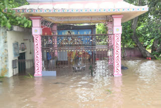 godavari flood at rajamahendra varam