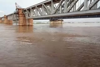 godavari flood at rajamundry