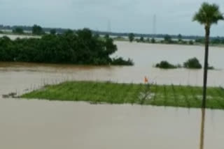 fllods in godavari