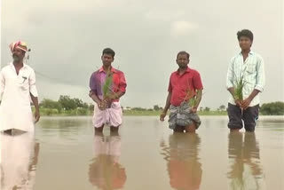 farm land water loged in yadgir due heavy rain