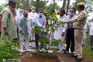 BJP spokesman Vinod Thakur plantstion in Hamirpur