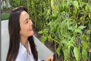 Preity Zinta shows her 'ghar ki kheti'