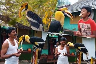 bird attachment with human