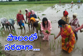 training collector garima agarval visited farming fields