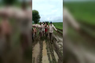 Rajasthan News,  Viral Video