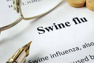 പന്നിപ്പനി  H1N1  India has reported about 2,721 cases of deadly swine flu  covid-19  corona  കൊവിഡിനൊപ്പം പന്നിപ്പനിയും