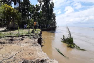 Danger Erosion at palashbari nahira