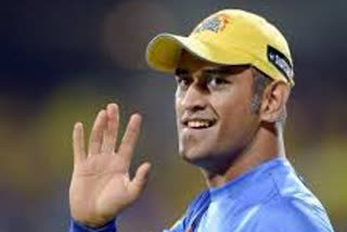 msd