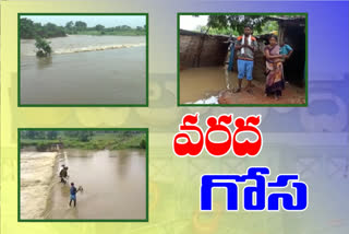 most houses drowned in water due to rains in adilabad district