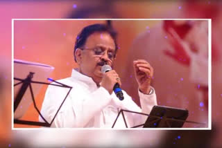 'బాలు'డి క్షేమం కోసం.. అభిమాని స్వరాభిషేకం!