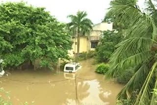 Flood Water in west godavari district