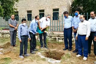 Plantation in universities of Rajasthan,  Governor Kalraj Mishra