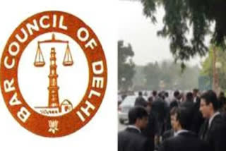 delhi bar council