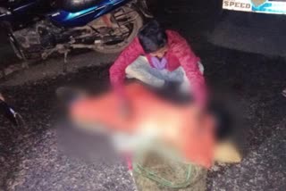 child died in road accident in giridih, road accident in giridih, news of Giridih Gandey police station,  गिरिडीह में सड़क दुर्घटना में बच्चे की मौत, गिरिडीह में सड़क दुर्घटना, गिरिडीह गांडेय थाना की खबरें