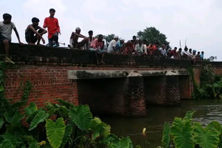 farmer dies after falling into canal