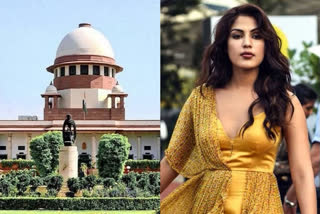 SC to deliver verdict on Rhea Chakraborty's petition on Aug 19