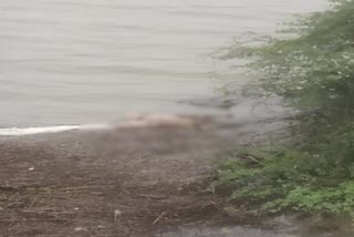 2 women's dead body found in jurala dam near Raichur border