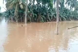godavari floods in east godavari district