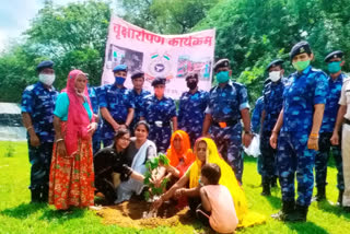 पौधारोपण कार्यक्रम का आयोजन, Plantation program organized