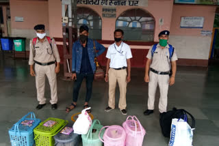 kota news, RPF arrested passenger, Foreign cats