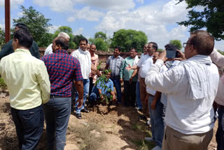 पौधारोपण कार्यक्रम का हुआ आयोजन, Plantation program organized