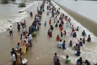 People Competed For Fish Hunting in Siddipet lingapur Check dam