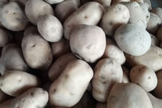 People are getting worried due to price of potato in Delhi