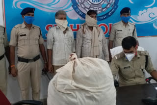 marijuana seized in Sidhi