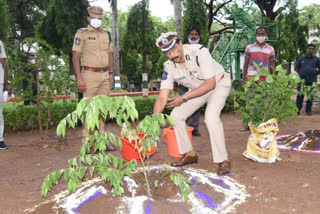 మొక్కలు నాటడం ద్వారానే భవిష్యత్ తరాలవారికి కాలుష్య రహిత వాతావరణం : ప్రమోద్ కుమార్