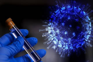 Worldwide corona virus cases