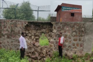 tiger reserve Mukundara of kota,  kota news