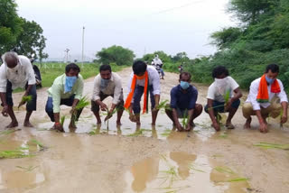 bjp leaders Protest planted on the road in ellanthakunta rajanna sircilla district