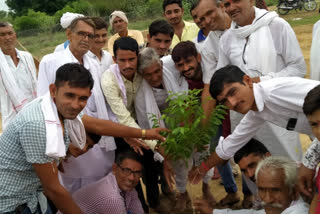 Plantation program organized, पौधारोपण कार्यक्रम का आयोजन,