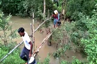 Villagers crossing the river with the help of bamboo