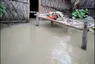 बाढ़ से 58 गांव प्रभावित