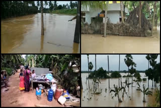 Gradually declining Godavari flood