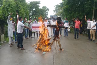 Effigy of CM burn by AAMSU Bongaigaon assam etv bharat new