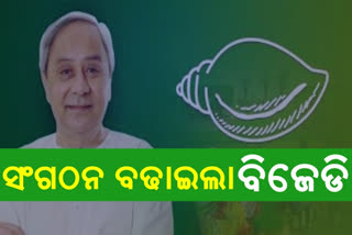 bjd-appointed-secretary-joint-secretary