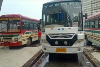 women bus drivers