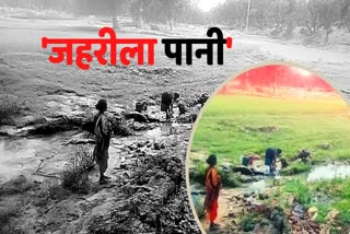 compelled-to-drink-water-in-tribal-drain-of-juhili-gram-panchayat-of-bharatpur