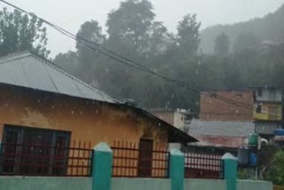 Strong rains in Chamba  farmers face bloom