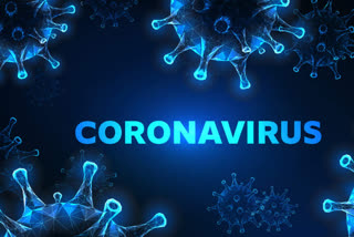 coronavirus positive in solan