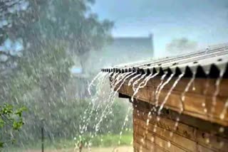 heavy rainfall in bhandara district