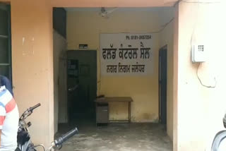 Municipal Corporation Jalandhar set up Flood Control Cell