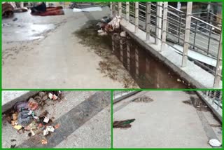 There is a pile of dirt and garbage on the Nangloi over bridge in Delhi