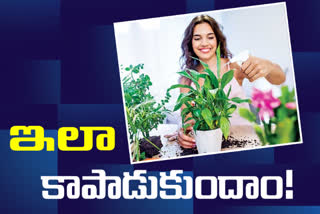 Tips to protect plants in telugu