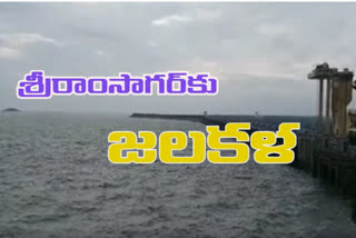 flood flows to the Sriram Sagar project at nizamabad