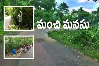 driver cut the bushes at  beside  of  rampula ghat road