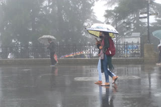 heavy rain in shimla