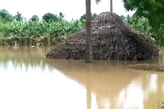 godavari floods in east godavari district